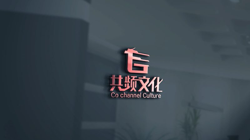 揭秘抖音代运营报价方案：明细背后的关键考量