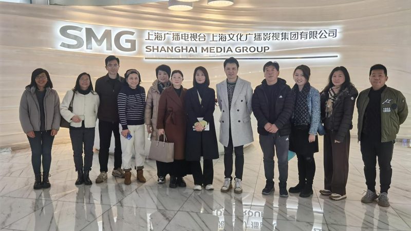 文化传媒公司代理费用，如何合理评估？**